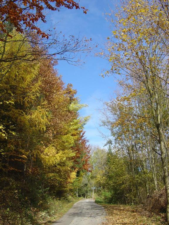 Wald Goelsenhof - Fam. Buechingerヴィラ エクステリア 写真