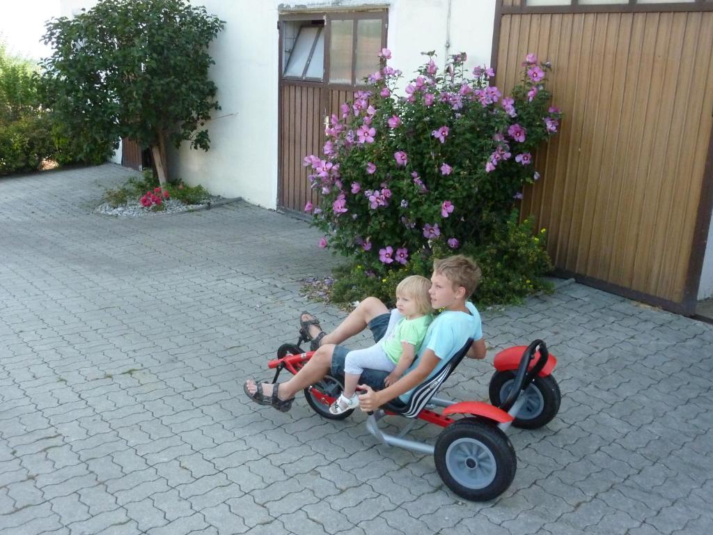 Wald Goelsenhof - Fam. Buechingerヴィラ エクステリア 写真